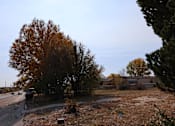 Thumbnail 10 of 22 - an empty lot next to a road with trees and a house at Country Lane, Wyoming, 82007