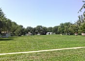 Thumbnail 4 of 13 - A grassy field with a white line in the middle and trees in the background.