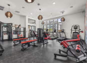 Thumbnail 43 of 50 - a gym with weights and cardio equipment and glass windows