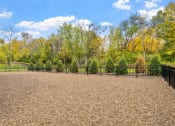 Thumbnail 60 of 62 - Dog Park at The Aurilla, Cottage Grove