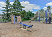 Thumbnail 18 of 30 - the playground at the preserve at ballantyne commons