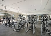Thumbnail 16 of 19 - A gym with a row of stationary bikes.