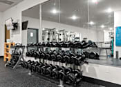 Thumbnail 18 of 21 - A gym with a mirrored wall and a rack of dumbbells.