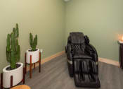 Thumbnail 27 of 39 - a massage chair in a room with a cactus and a plant at The Bend Arbordale, Williamsburg, VA