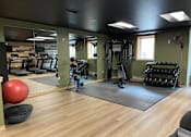 Thumbnail 41 of 50 - A gym with a variety of equipment including weights and a squat rack.