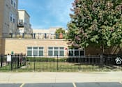 Thumbnail 46 of 50 - Bark Park with Building Background
