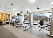 Thumbnail 22 of 35 - a large fitness room with treadmills and other exercise equipment