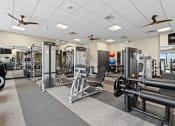Thumbnail 23 of 35 - a large fitness room with cardio equipment and weights