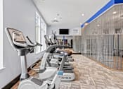Thumbnail 30 of 48 - the gym at the enclave at woodbridge apartments in sugar land, tx