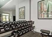 Thumbnail 21 of 46 - the gym with dumbbells and mirrors on the wall at Artesia at Lakewood Ranch Apartments, Bradenton, Florida