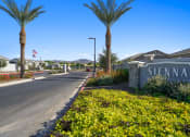Thumbnail 43 of 43 - a street with palm trees and a sign that says Sienna at South Mountain at Sienna at South Mountain Apartments, Laveen, Arizona