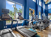 Thumbnail 33 of 65 - A row of treadmills in a gym with a view of the outside. at Centre Pointe Apartments, Melbourne, FL