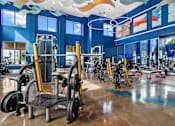 Thumbnail 36 of 65 - A gym with a variety of exercise equipment including treadmills, stationary bikes, and weight machines. at Centre Pointe Apartments, Melbourne, 32940