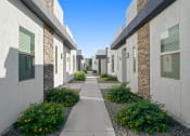Thumbnail 20 of 33 - an empty walkway between two apartment buildings with flowering plants at Olive Queen Creek Apartments, Arizona, 85142
