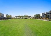 Thumbnail 31 of 33 - a large green lawn in front of some apartments at Olive Queen Creek Apartments, Queen Creek