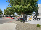 Thumbnail 33 of 33 - a sign in front of an office building with a tree at Olive Queen Creek Apartments, Queen Creek, AZ, 85142