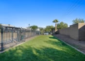 Thumbnail 32 of 36 - Dog Park at Bella Grace, Chandler, Arizona