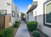 Thumbnail 23 of 36 - a walkway between two buildings with hedges and a wooden fence at Bella Grace, Arizona