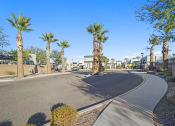 Thumbnail 33 of 36 - a street with palm trees on the side of a road at Bella Grace, Chandler