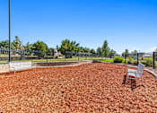Thumbnail 44 of 48 - the preserve at ballantyne commons dog park
