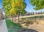 Thumbnail 38 of 40 - a tree lined sidewalk next to a row of houses at Silver Reef Apartments, Colorado, 80228