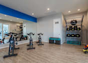Thumbnail 9 of 15 - A room with a blue stripe on the wall and a row of exercise bikes. at Vistoria At Stadium Apartments, Glendale