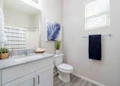 Thumbnail 9 of 15 - A bathroom with a white toilet, a sink with a counter, a towel rack, and a plant. at Vistoria At Country Place Apartments, Tolleson, 85353