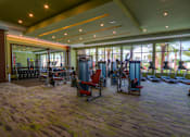 Thumbnail 13 of 44 - Modern Fitness Center at The Strand, Oviedo, FL, 32765