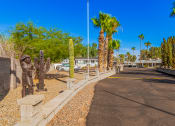 Thumbnail 3 of 26 - a street with a statue of a man and a cactus on the side of the road