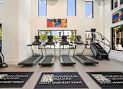 Thumbnail 20 of 34 - a row of treadmills in a fitness room with windows at Magnolia Square, Naples, 34109