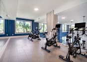 Thumbnail 21 of 34 - open gym with cardio machines at Magnolia Square, Florida