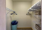 Thumbnail 15 of 50 - Walk In Closet at The Enclave Luxury Apartments