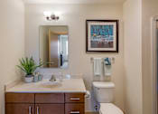 Thumbnail 12 of 50 - Bathroom at The Enclave Luxury Apartments