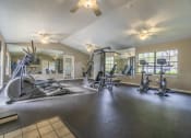 Thumbnail 16 of 27 - Fitness Center at Laurel Oaks Apartments in Tampa, FL