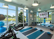 Thumbnail 13 of 36 - a home gym with a view of the water at The Addison on Long Bayou Apartments, Florida