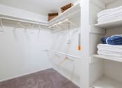 Thumbnail 14 of 41 - Walk-In Closet at Northgreen at Carrollwood Apartments in Tampa, FL
