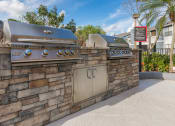 Thumbnail 28 of 41 - Grill Stations at Northgreen at Carrollwood Apartments in Tampa, FL