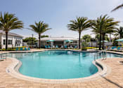 Thumbnail 19 of 51 - A large swimming pool surrounded by palm trees and lounge chairs at Enclave at 3230 Apartments, South Daytona, FL