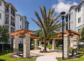 Thumbnail 27 of 51 - a courtyard with a palm tree in front of an apartment building at Enclave at 3230 Apartments, Florida, 32119