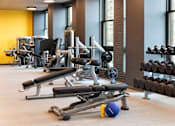 Thumbnail 15 of 19 - A gym with a variety of equipment including weights and a medicine ball.