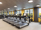 Thumbnail 14 of 19 - A gym with treadmills and elliptical machines.
