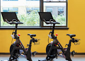 Thumbnail 16 of 19 - Two stationary bikes are placed in front of a window.