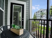 Thumbnail 18 of 54 - Balcony at Palms at Magnolia Park in Riverview, FL