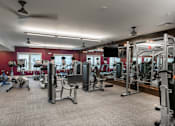 Thumbnail 31 of 54 - Fitness Center at Palms at Magnolia Park in Riverview, FL