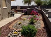 Thumbnail 21 of 26 - a backyard with a rock garden and a concrete walkway