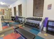 Thumbnail 40 of 44 - a fitness center with weights and other exercise equipment