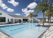 Thumbnail 37 of 40 - a swimming pool with palm trees at Odyssey, Florida