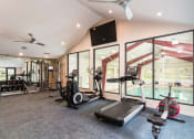 Thumbnail 8 of 13 - Fitness Center at Village Gardens Apartments in Fort Collins, CO