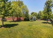 Thumbnail 34 of 35 - Dog park