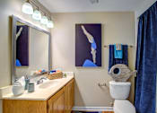 Thumbnail 11 of 12 - Luxurious Bathroom at Pavilions at Northshore Apartment Homes, Texas, 78374